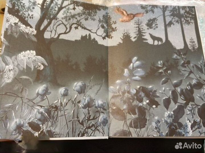 Жданова Елена Сказки сибирских деревень