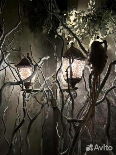 Профессиональная фотосессия