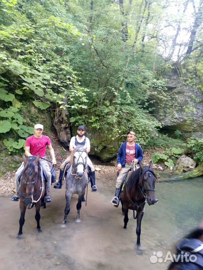 Конный прокат