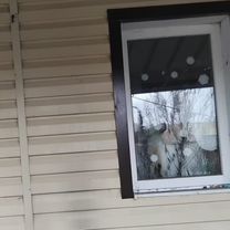 Дом 50 м² на участке 10 сот.