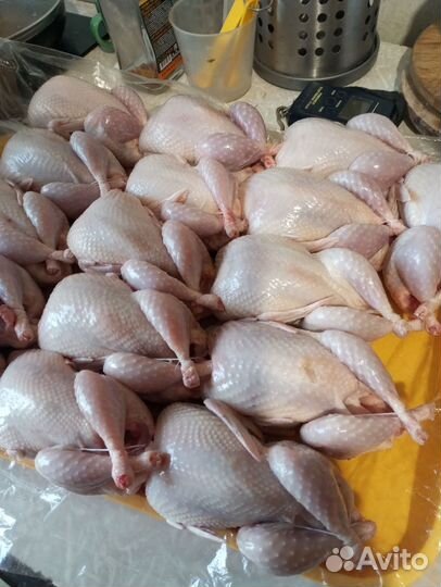 Мясо перепела