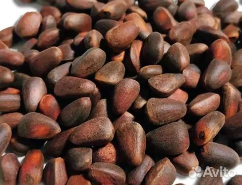 Кедровый орех