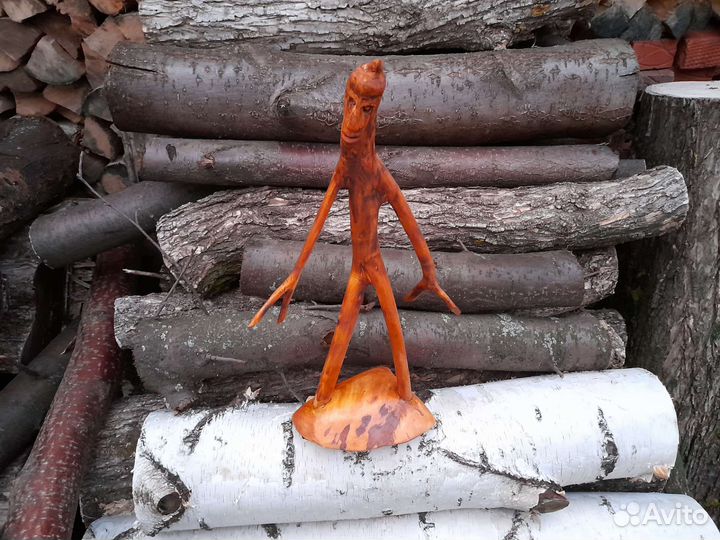 Корнепластика