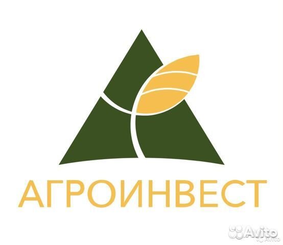 Пробоотборщик