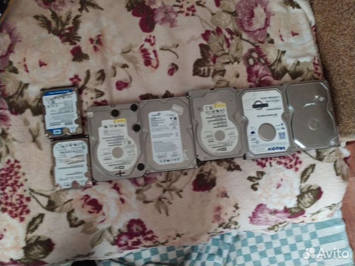 Жоский диск