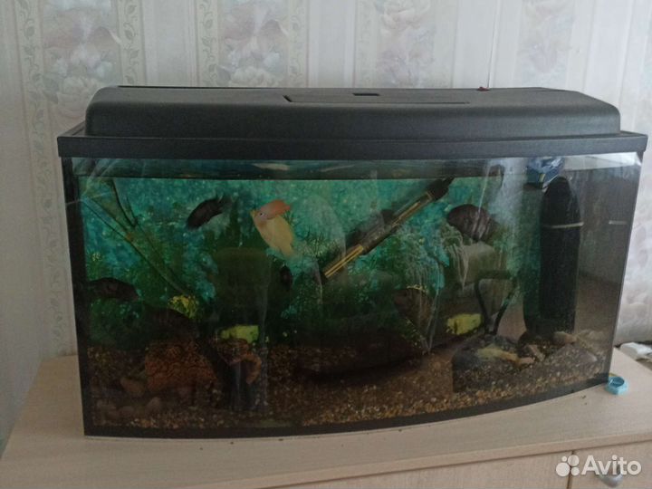 Аквариум