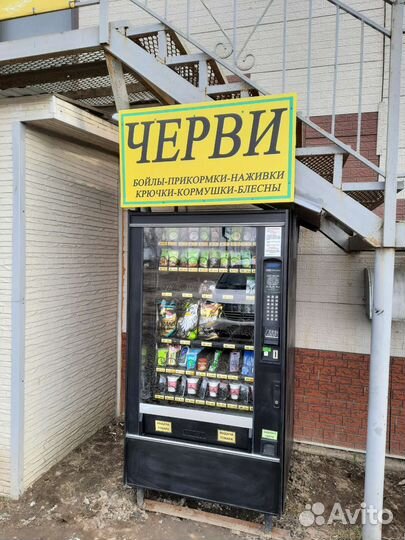 Черви для рыбалки круглосуточно