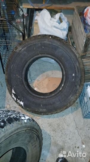 Medved Я-471 31/10.5 R31