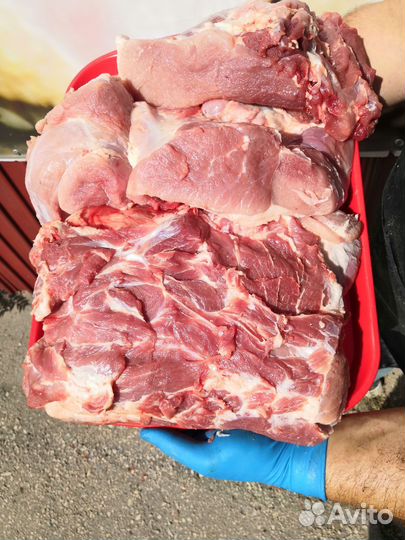 Свинина, телятина, фарш с доставкой