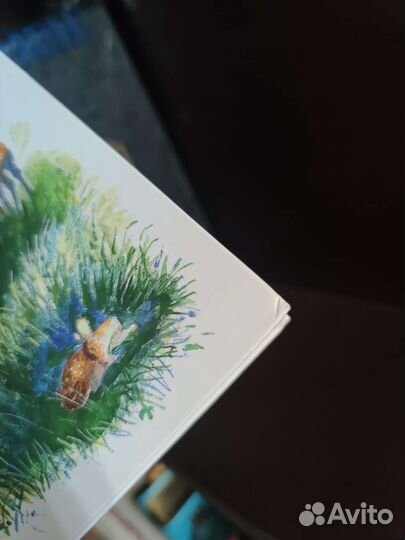 Новая книга Жень-Шень