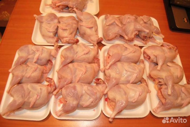 Яйца перепелиные домашние
