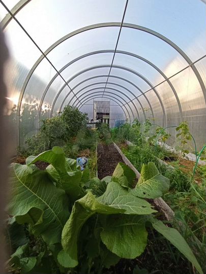 Дом 156 м² на участке 9 сот.