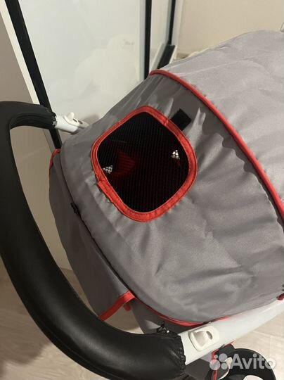 Коляска прогулочная