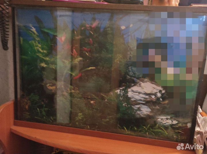 Аквариум
