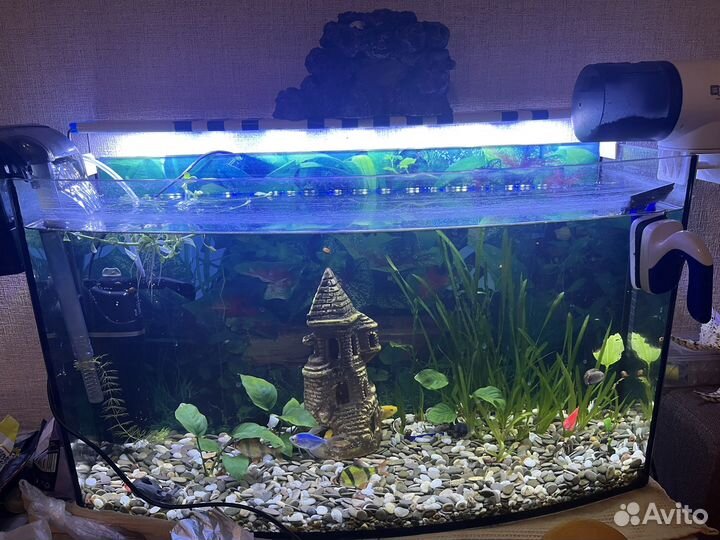 Аквариум