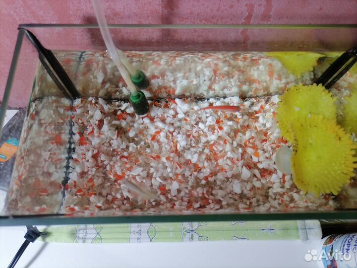 Продам аквариум с рыбками
