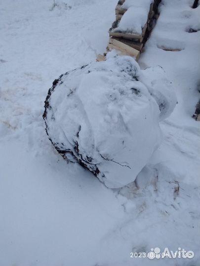 Кап березовый