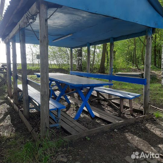 Платная рыбалка