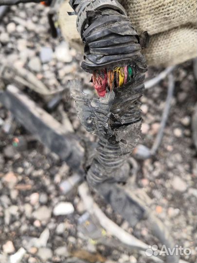 Проводка моторная Рио 3 солярис 1