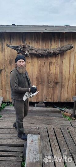 Прогулка в лесу, парение с пармастерами