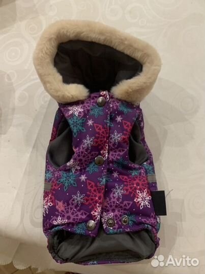 Одежда для животных