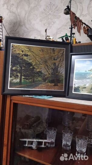 Картина галаграфическая 2 вида