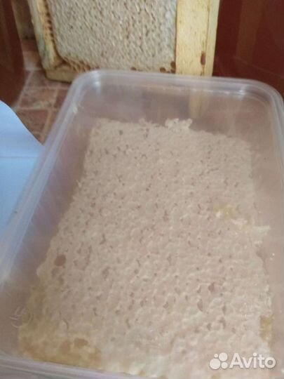 Сотовый мёд (мёд в сотах) и скачанный 2023