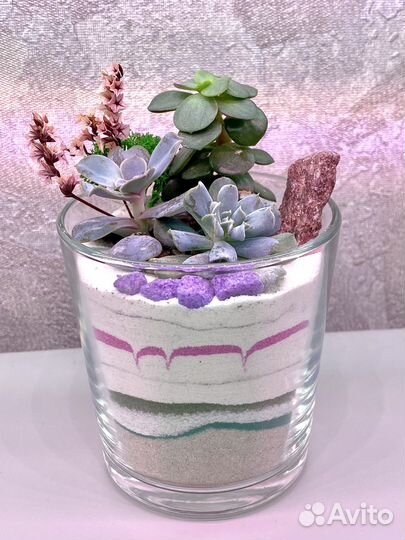 Флорариум с суккулентами