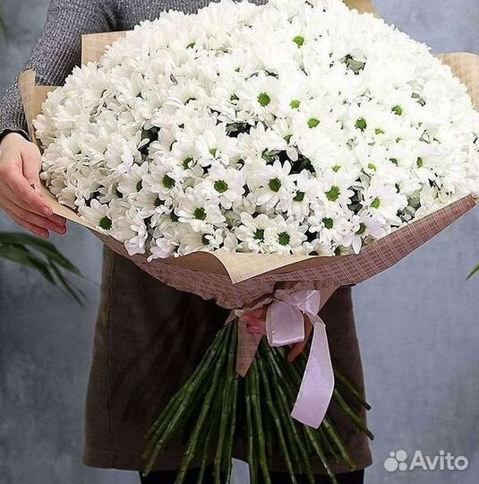 Хризантема