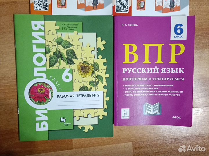 Рабочие тетради, 6 класс, биология, история