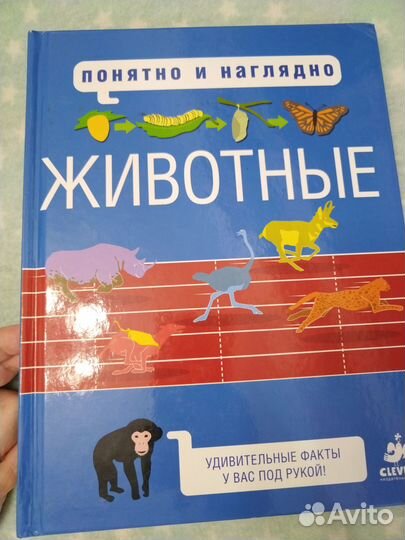 Детские энциклопедии. 