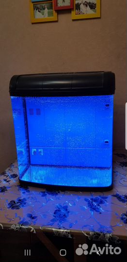 Аквариум