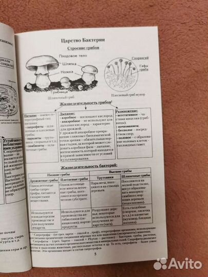 Биология в схемах и таблицах Онищенко А. В