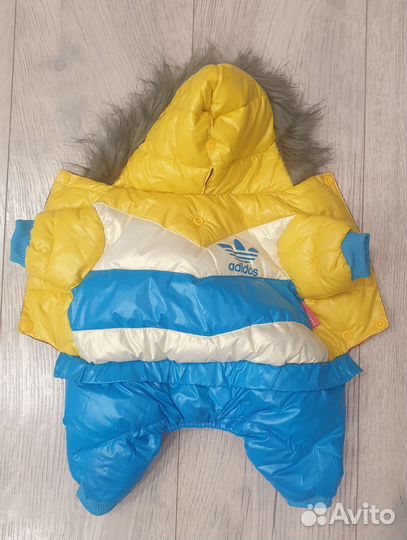 Комбинезон для маленькой собаки