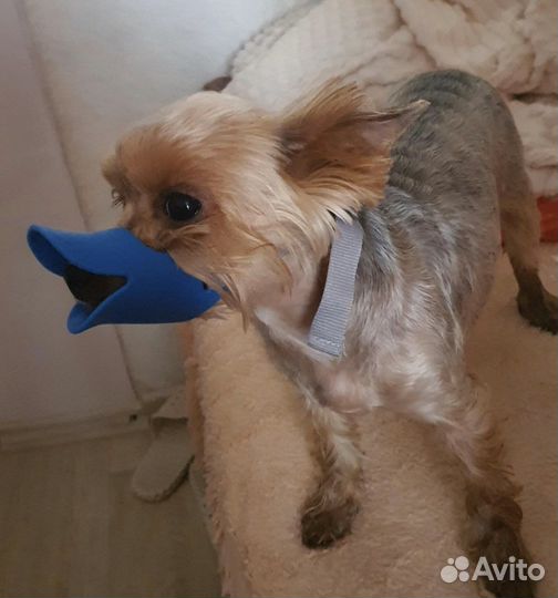 Новый силиконовый намордник