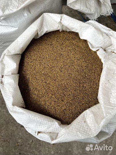 Семена люцерны