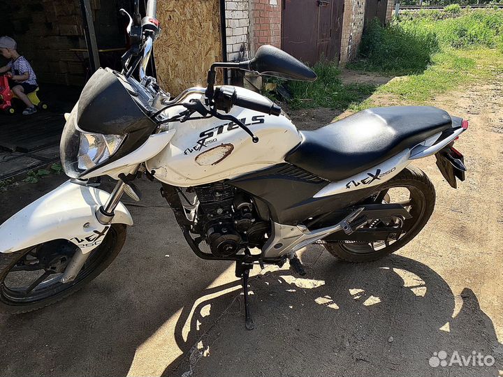Stels flex 250