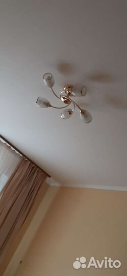 Мужчина на час