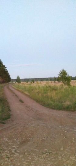 Участок 2,5 га (СНТ, ДНП)