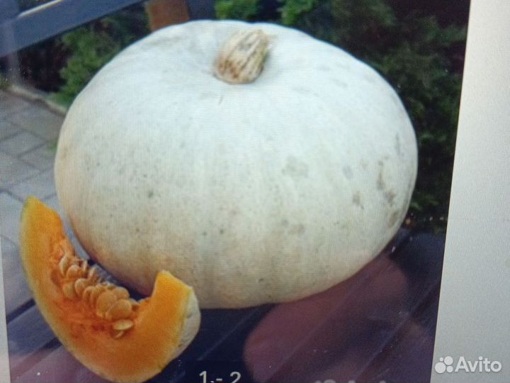 Тыква сладкая
