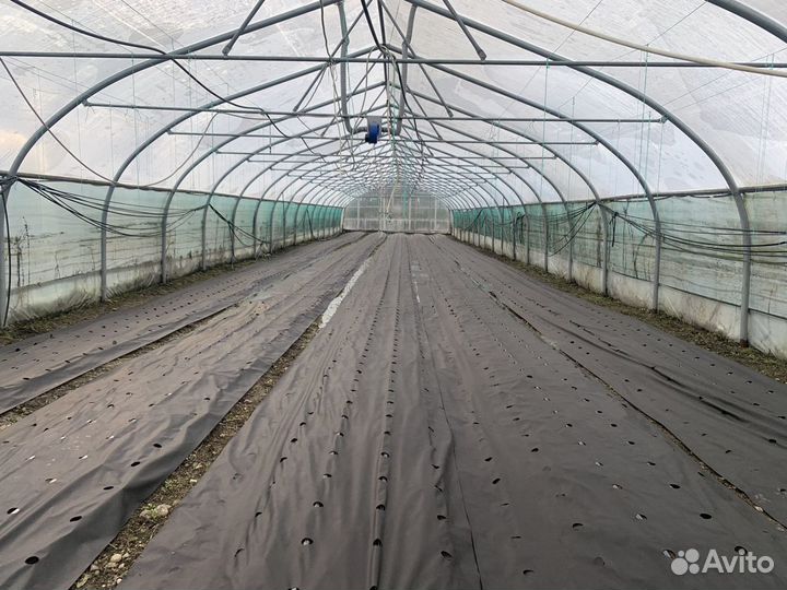 Тепличный комплекс