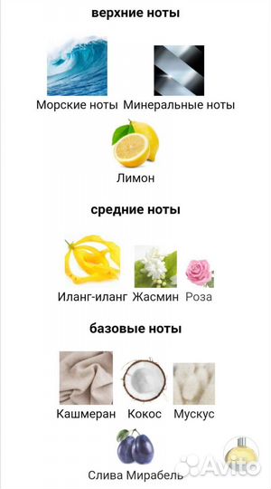 Shiseido парфюмерия женская