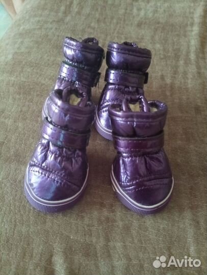 Зимняя обувь для собак