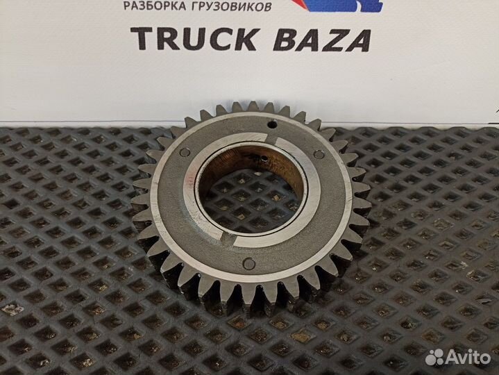 51542106042 Шестерня грм Man TGA, Man TGS, Man TGX
