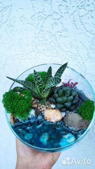 Флорариум. Живые цветы. Подарок