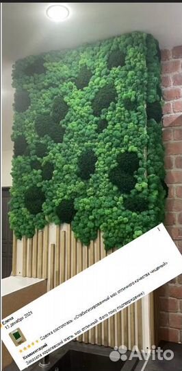 Стабилизированный мох кочки ягель яркий и сочный