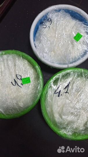 Творог оптом