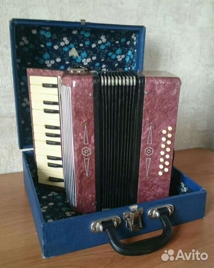 Аккордеон детский 