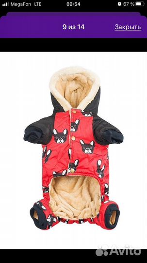 Комбинезон для собаки бу