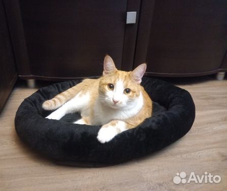 Лежанка для собак и кошек 50х40 черная